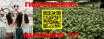 скорость Будённовск