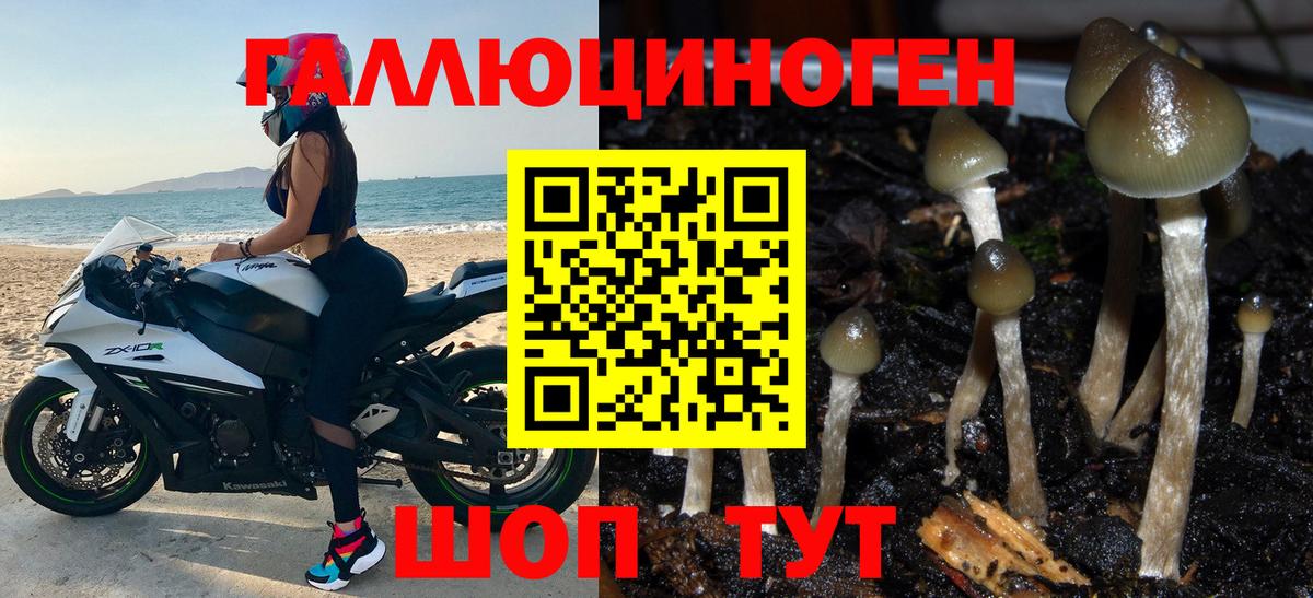 Псилоцибиновые грибы Psilocybe  Галлюциногенные грибы MAGIC MUSHROOMS  Лениногорск  Вход с VPN 