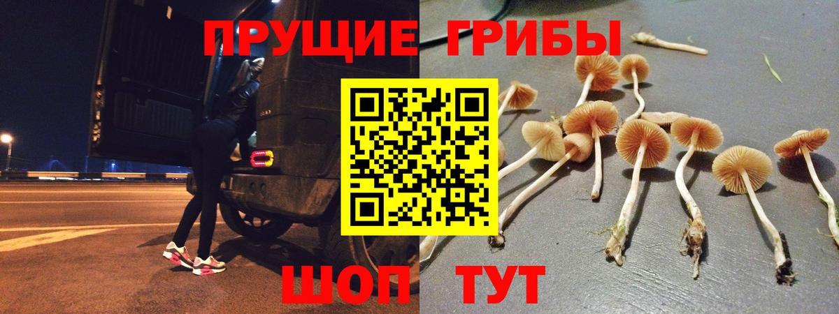Галлюциногенные грибы GOLDEN TEACHER Лениногорск